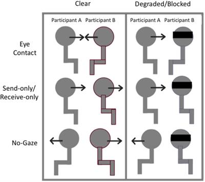 Eye Contact Is a Two-Way Street: Arousal Is Elicited by the Sending and Receiving of Eye Gaze Information